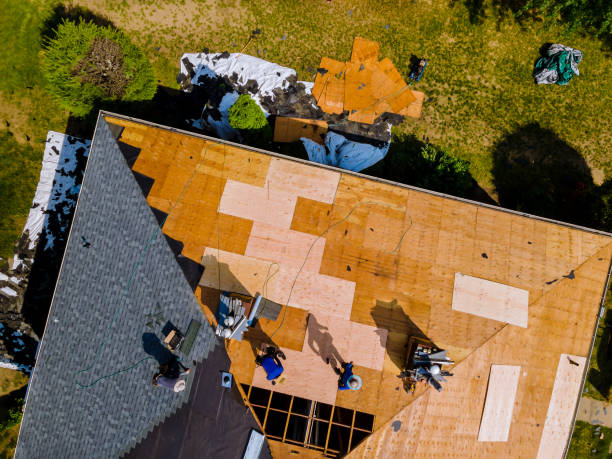 Best Roofing Contractor Near Me  in El Cenizo, TX