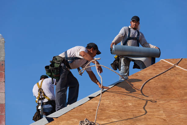 Best Local Roofing Companies  in El Cenizo, TX