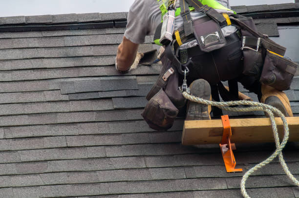 Best Roof Gutter Cleaning  in El Cenizo, TX