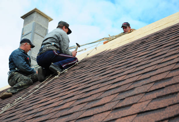 Best Commercial Roofing Services  in El Cenizo, TX