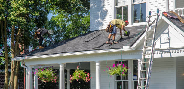 Best Roof Waterproofing Services  in El Cenizo, TX